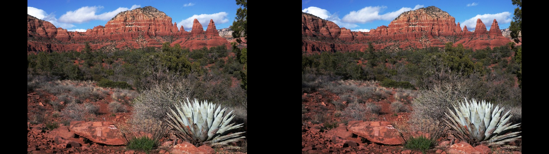 Bell Rock Trail Scene